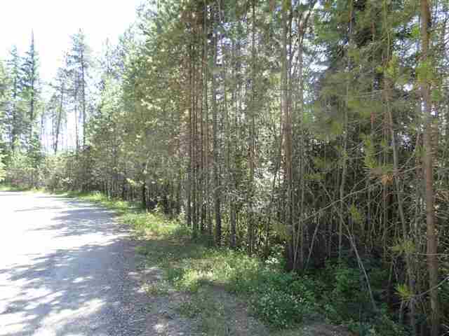 35523 North Elk Chattaroy Road Elk, WA 99009 - Photo 5 of 11 Gallery Image 5