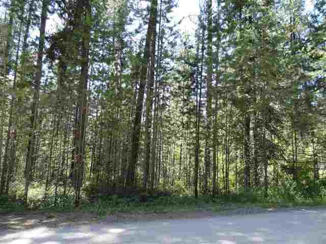 35523 North Elk Chattaroy Road Elk, WA 99009 - Photo 6 of 11 Gallery Image 6