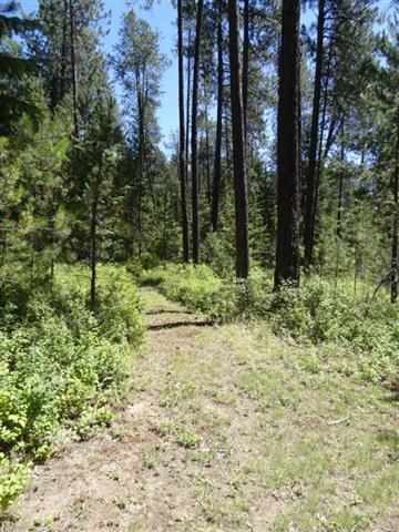 35523 North Elk Chattaroy Road Elk, WA 99009 - Photo 8 of 11 Gallery Image 8