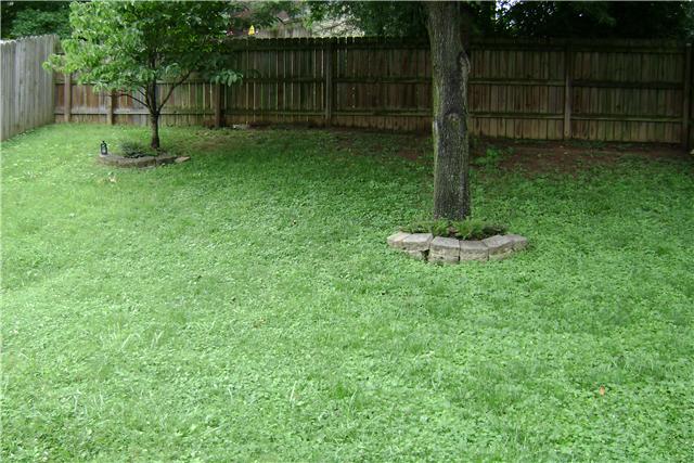 790 Fitzpatrick Road Nashville, TN 37214 - Photo 5 of 20 Yes, Has Green Space for the Pets & Kids!