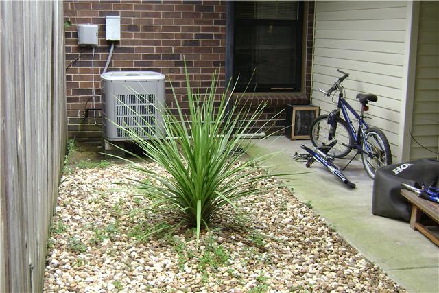 790 Fitzpatrick Road Nashville, TN 37214 - Photo 6 of 20 Has New Roof (2 Yrs old) + New Hot Water Heater (3 yrs old) + Some Landscaping /Plants!