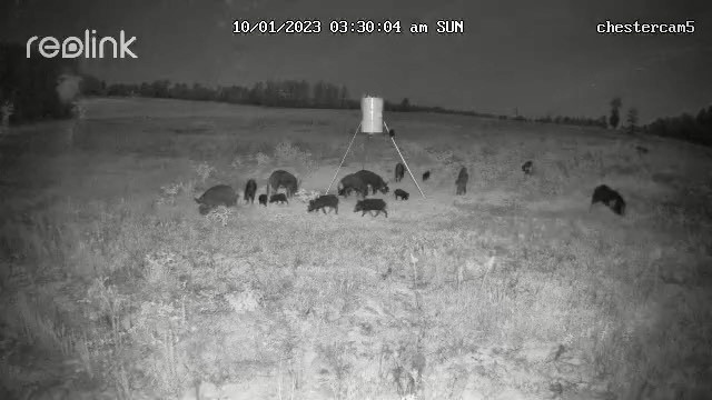0 Korthauer Road Bellville, TX 77418 - Photo 11 of 13
