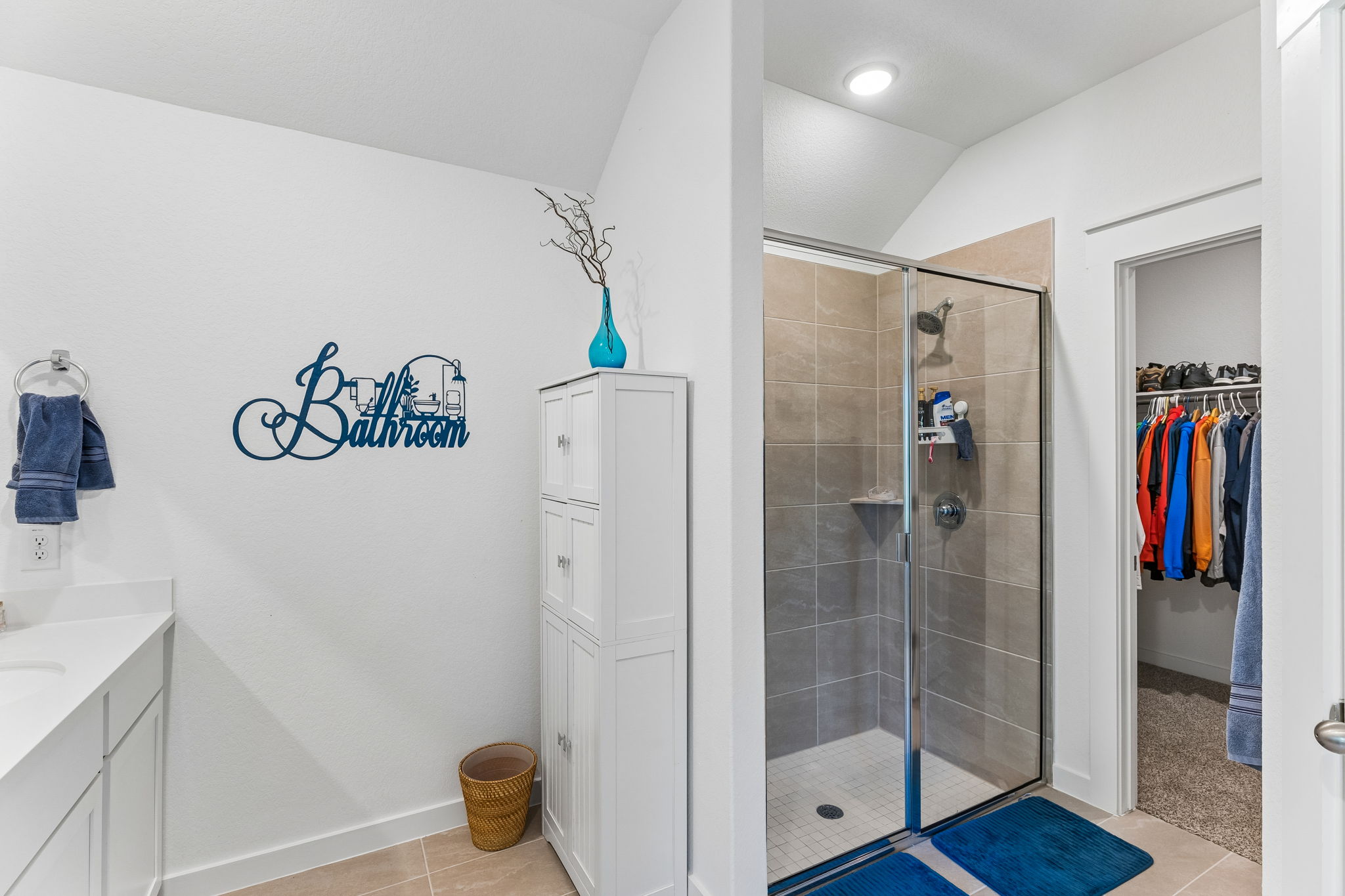 13509 Barn Chime Street Elgin, TX 78621 - Photo 24 of 40 Tiled shower with glass enclosure, white vanity with integrated sink, recessed lighting, and a walk-in closet