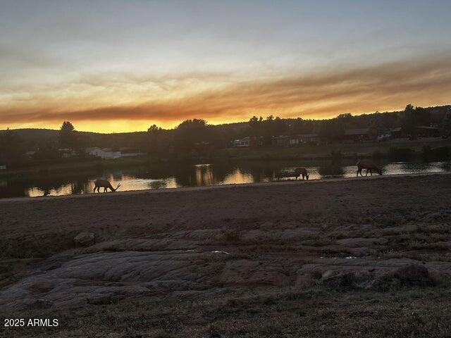109 South Young Road Payson, AZ 85541 - Photo 32 of 44 Lake with elk