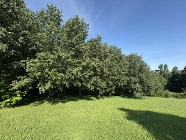 12-29h Finney Road Glasgow, KY 42141 - Photo 6 of 16 Gallery Image 6
