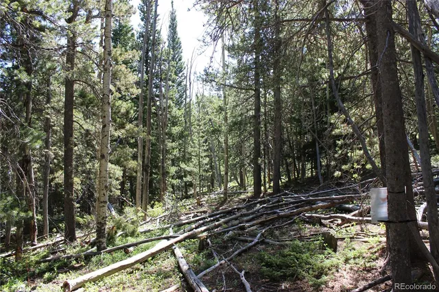 a view of a yard with trees