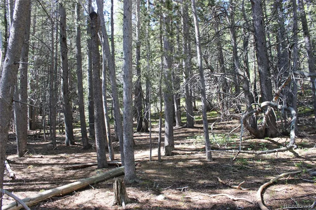 a view of outdoor space with lots of trees
