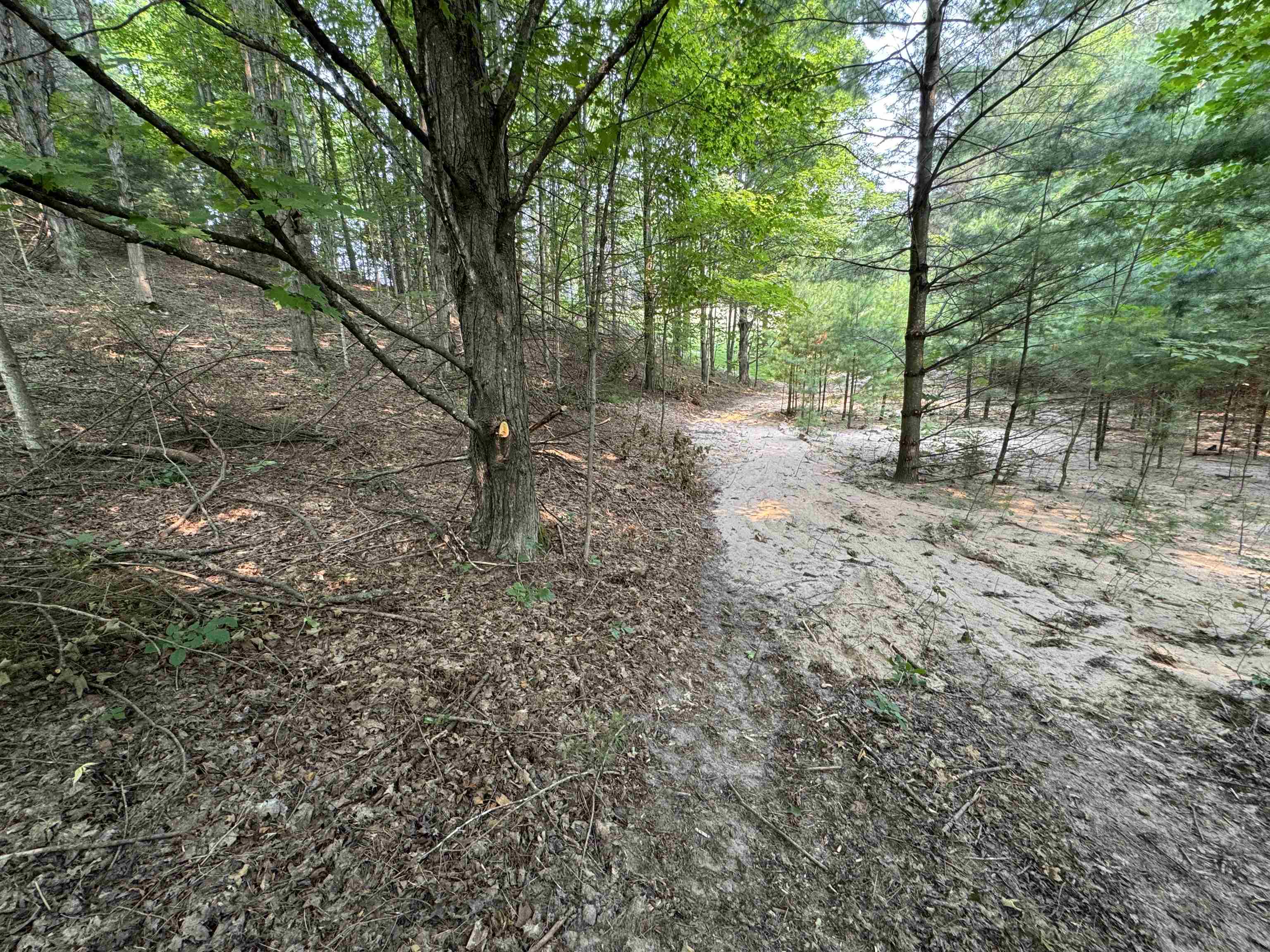 Lot #4 East Bellinger Road, Unit BELLINGER ESTATES Cedar, MI 49621 - Photo 21 of 27