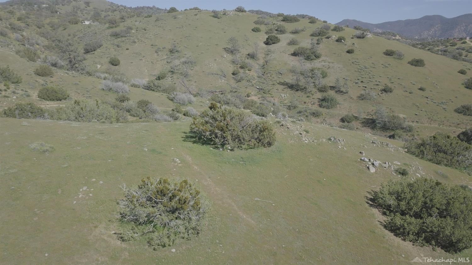 0 Sequoia Springs Road Caliente, CA 93518 - Photo 3 of 7 Gallery Image 3