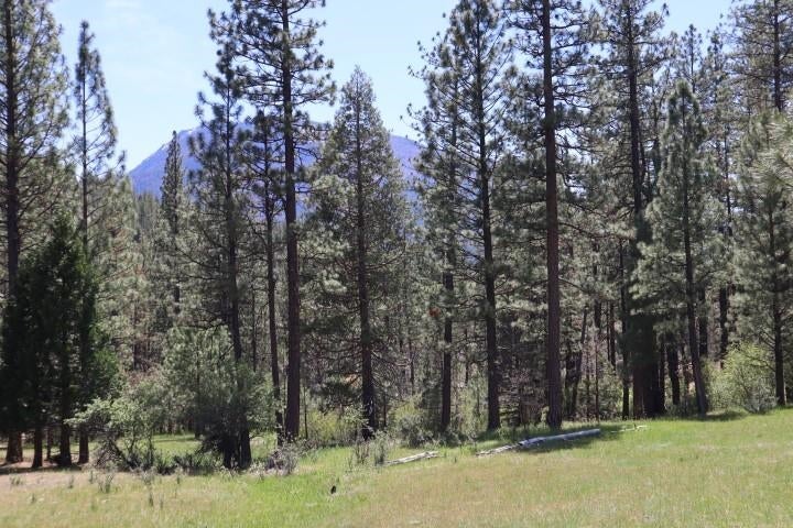 0 Masterson Road Gazelle, CA 96034 - Photo 4 of 26 Gallery Image 4
