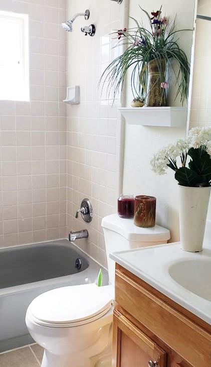 1659 Center Road Novato, CA 94947 - Photo 11 of 17 a bathroom with a sink a toilet and a bathtub