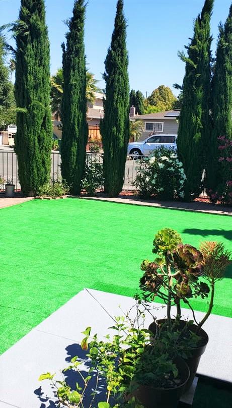 1659 Center Road Novato, CA 94947 - Photo 13 of 17 a view of a big yard with potted plants and large trees