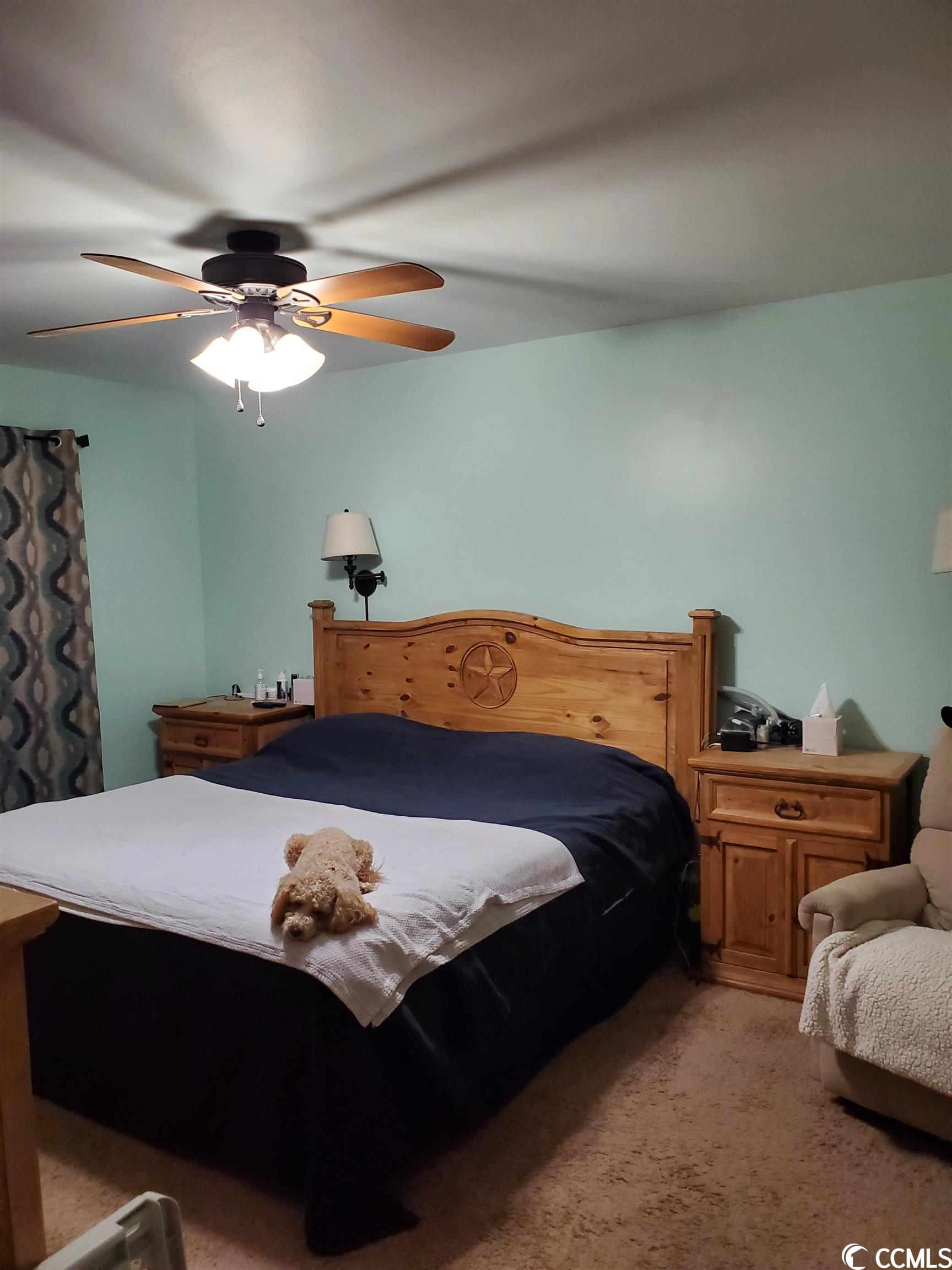 312 Truce Street Myrtle Beach, SC 29588 - Photo 8 of 20