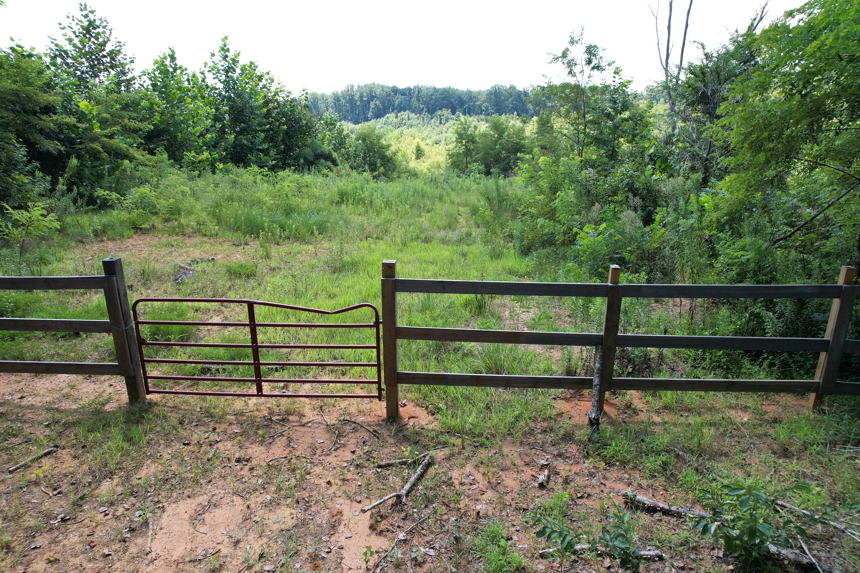 153 County Road New Albany, MS 38652 - Photo 10 of 17 Gallery Image 10