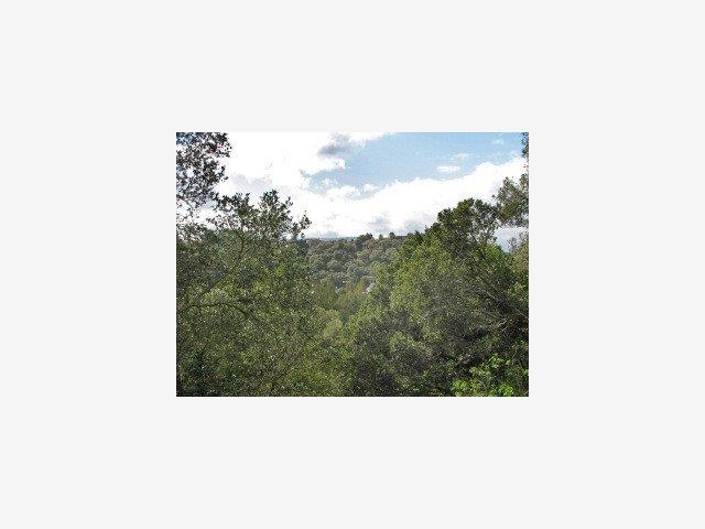 65 Highgate Road Scotts Valley, CA 95066 - Photo 2 of 7 Gallery Image 2