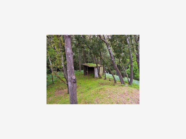 65 Highgate Road Scotts Valley, CA 95066 - Photo 7 of 7 Gallery Image 7