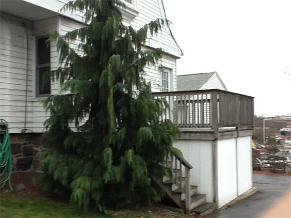 15 County Road Everett, MA 02149 - Photo 13 of 19 a view of a house with a yard