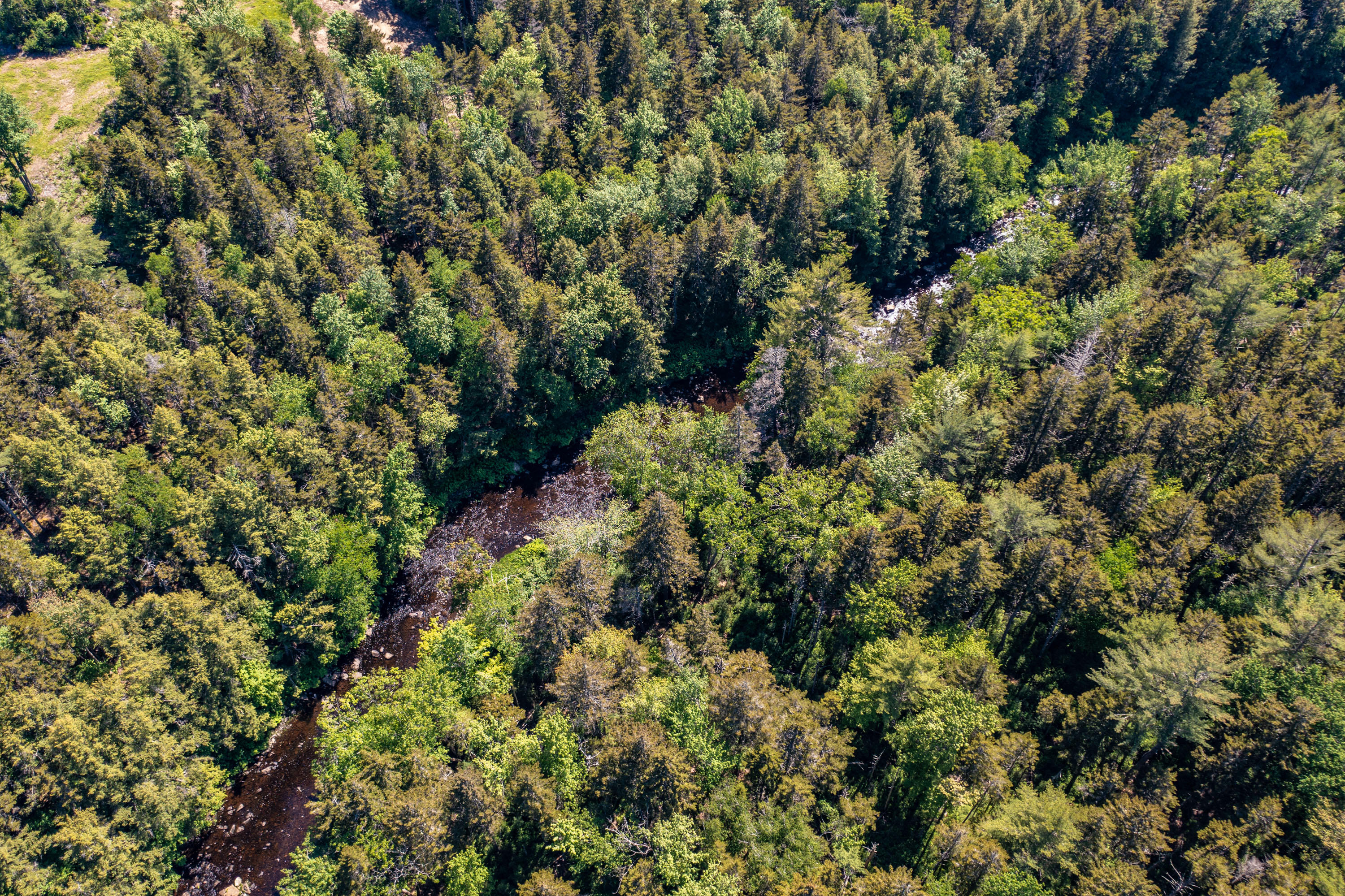 DJI_0532