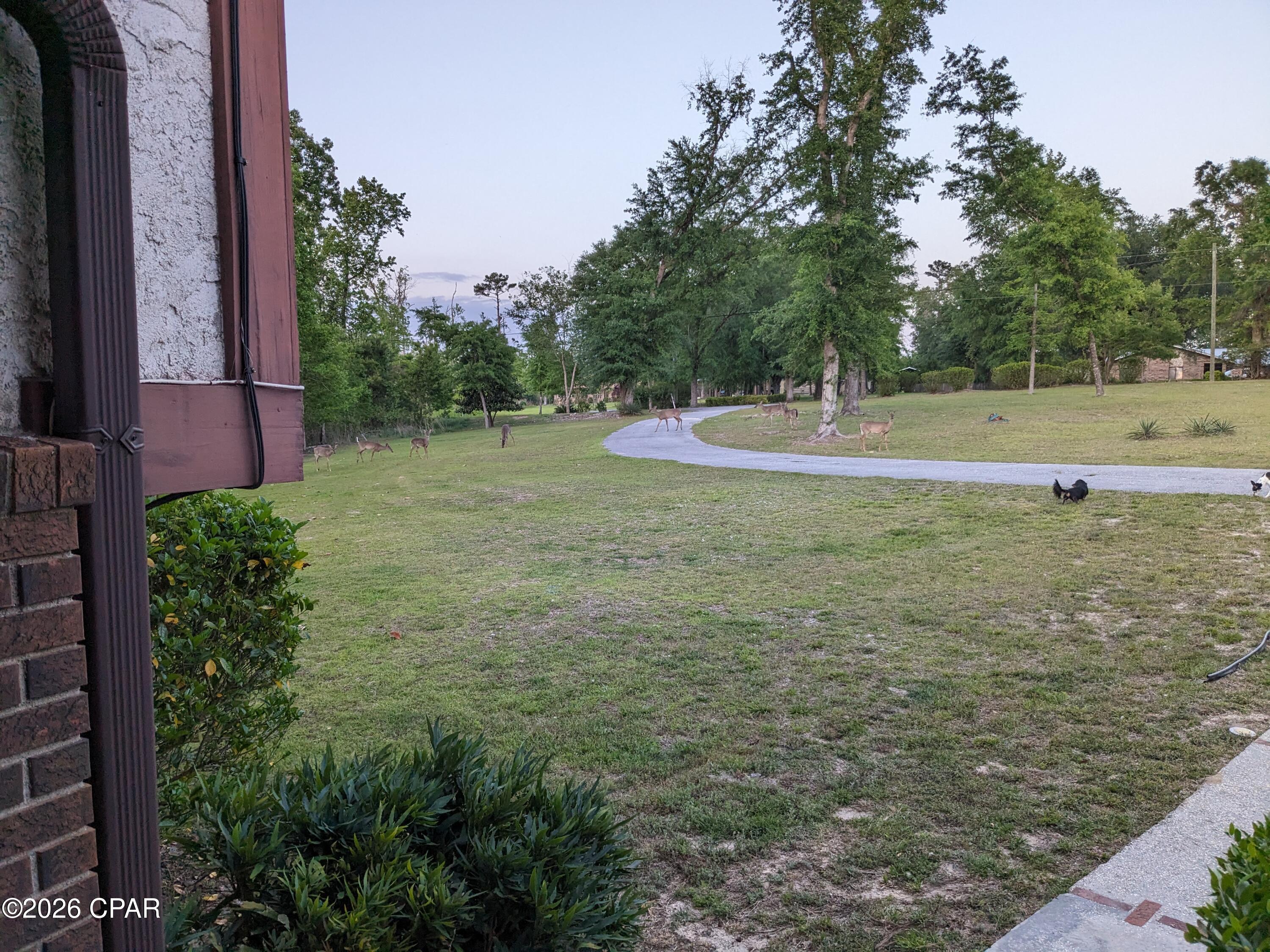2485 Spring Creek Road Marianna, FL 32448 - Photo 15 of 79 Gallery Image 15