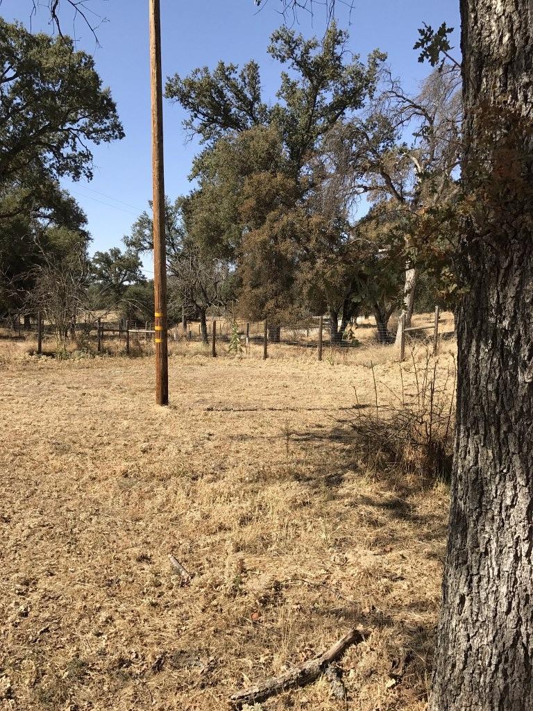 43128 Leach Road Ahwahnee, CA 93601 - Photo 15 of 16 Gallery Image 15