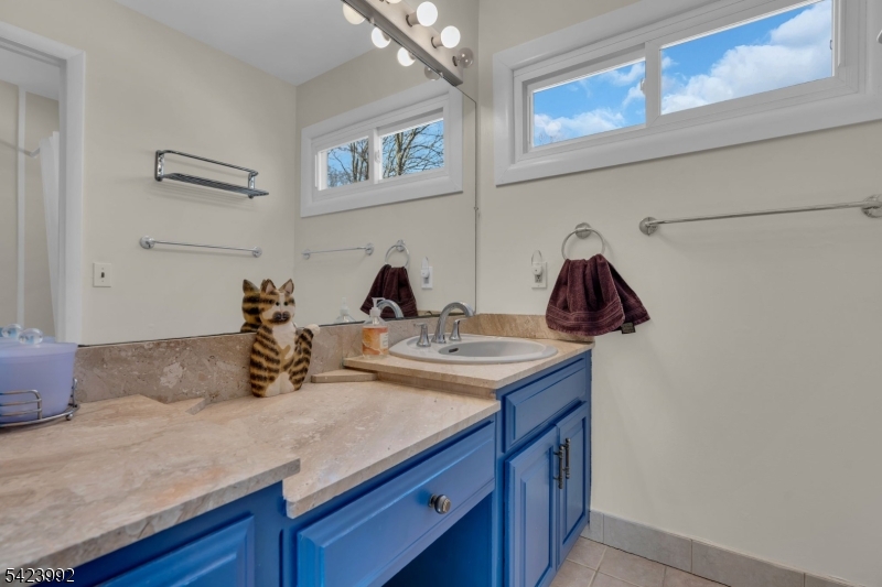 66 Salmon Road Landing, NJ 07850 - Photo 22 of 43