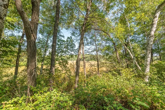 $144,900 | Tract C Tbd Little Pine Road, Brainerd, MN 56401