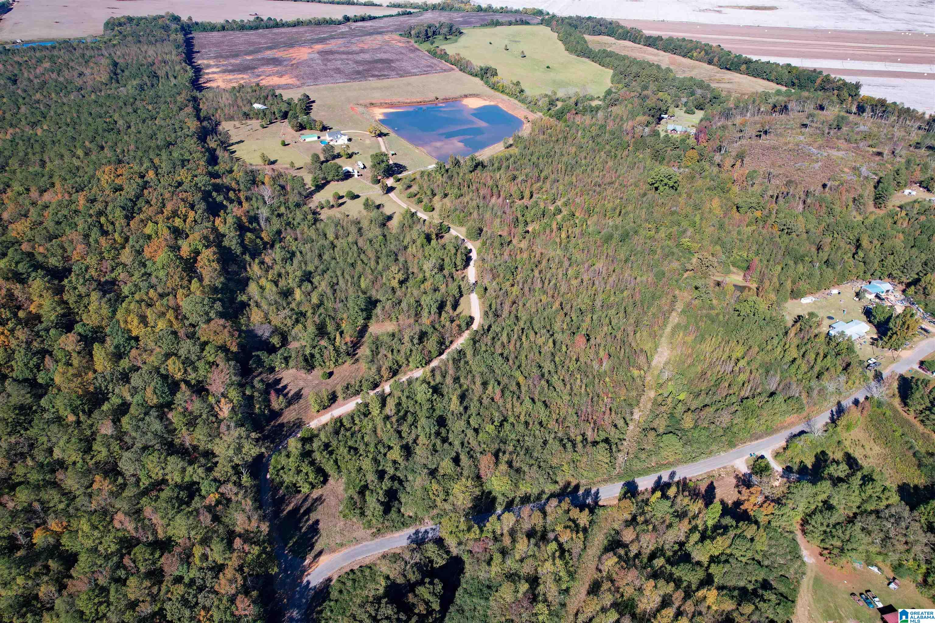 1450 Rendalia Motorway Talladega, AL 35160 - Photo 19 of 64
