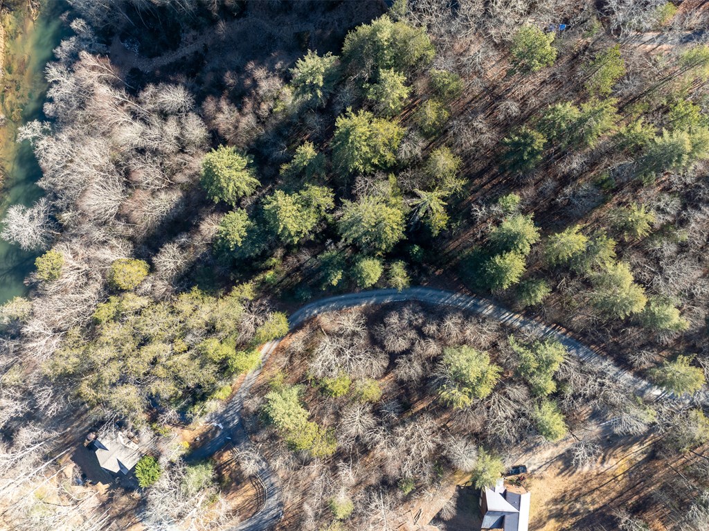 Lot 13 Ridge Road Blue Ridge, GA 30513 - Photo 11 of 18