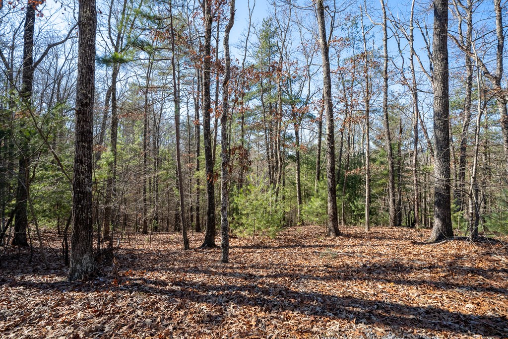 Lot 13 Ridge Road Blue Ridge, GA 30513 - Photo 17 of 18