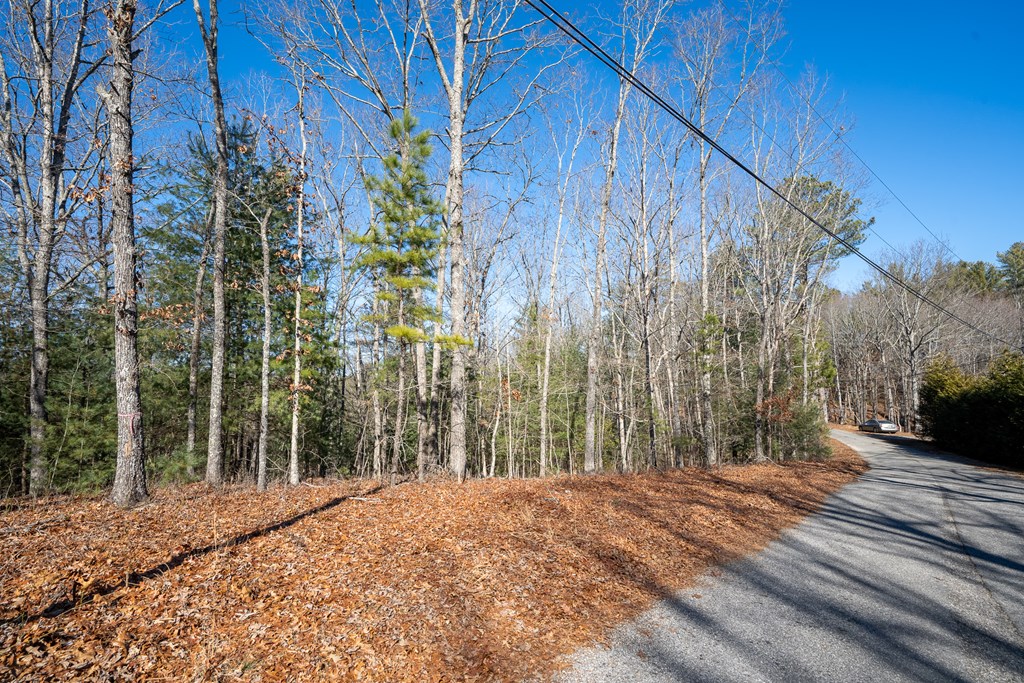 Lot 13 Ridge Road Blue Ridge, GA 30513 - Photo 3 of 18