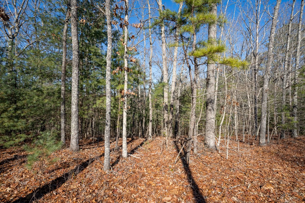 Lot 13 Ridge Road Blue Ridge, GA 30513 - Photo 10 of 18