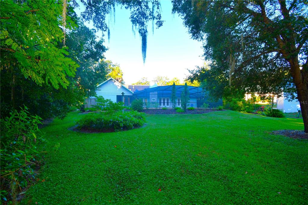 611 Old Eustis Road Mount Dora, FL 32757 - Photo 42 of 45 a view of a backyard with a garden