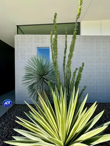 a view of a potted plant in a corridor
