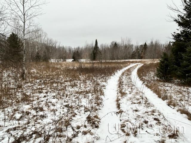 Tbd5 Larson Road Atlantic Mine, MI 49905 - Photo 19 of 56 Gallery Image 19