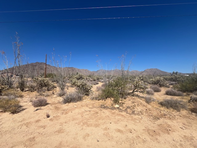 11108 Alvis Road Yucca, AZ 86438 - Photo 6 of 20