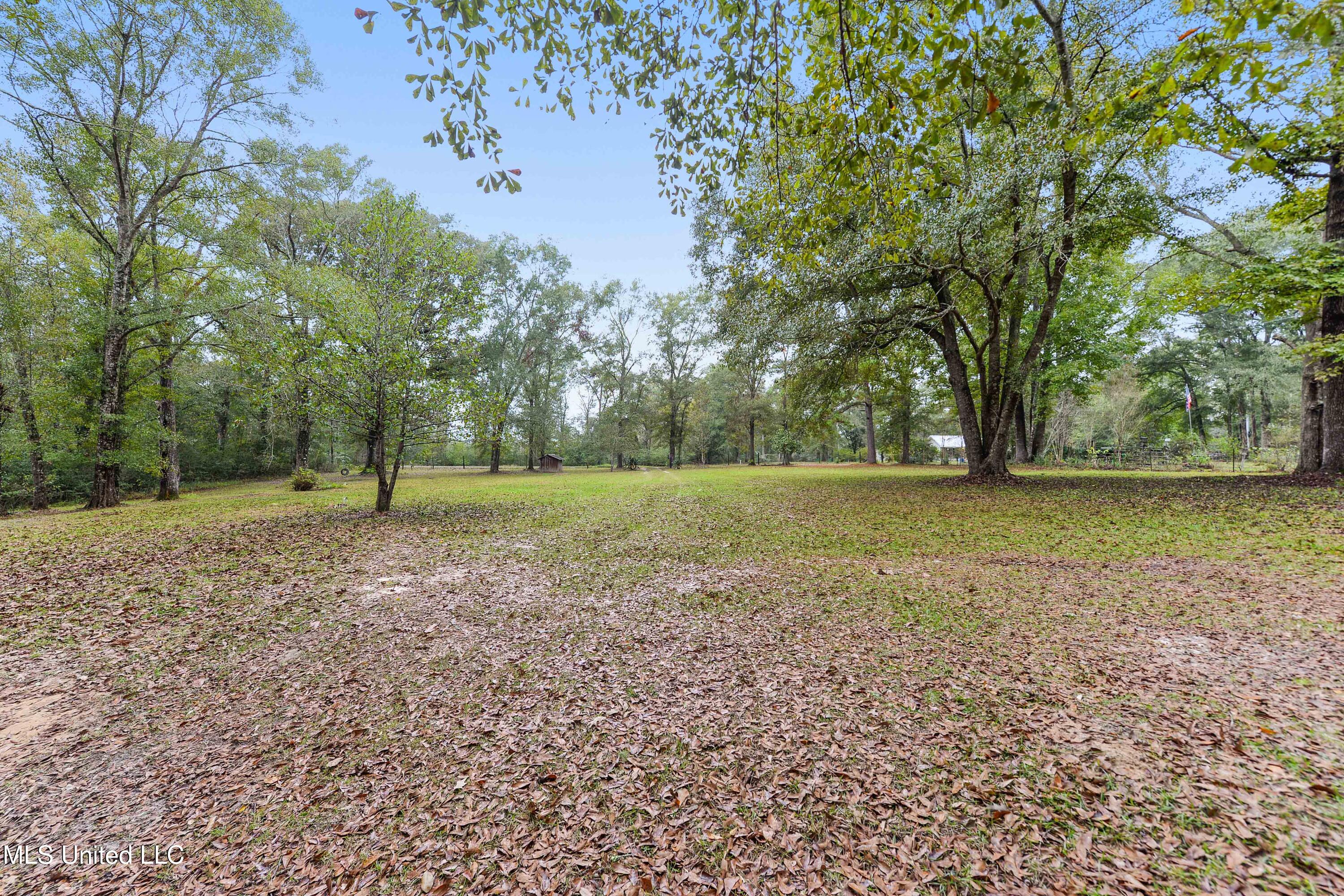 1160 Lucas Road Lucedale, MS 39452 - Photo 4 of 30 003