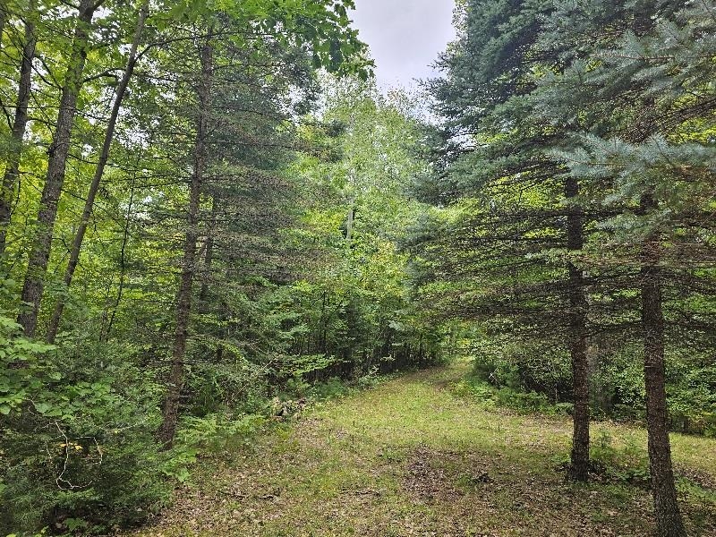 3900 North M 30 Road Gladwin, MI 48624 - Photo 1 of 8