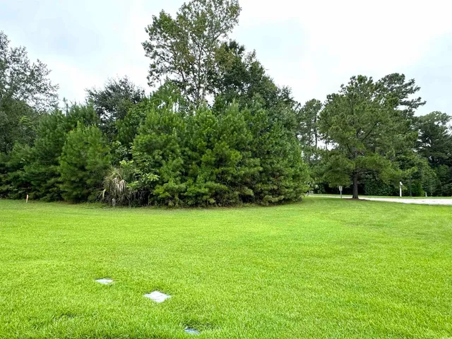$80,000 | Lot 45 Oak Bay Drive, Georgetown, SC 29440