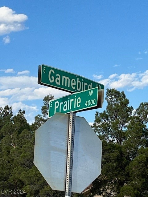 560 East Gamebird Road Pahrump, NV 89048 - Photo 3 of 6 Gallery Image 3