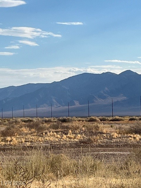 560 East Gamebird Road Pahrump, NV 89048 - Photo 4 of 6 Gallery Image 4