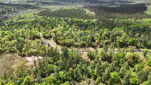 $183,000 | Lot 5 Pine Ridge Lane, Lucedale, MS 39452