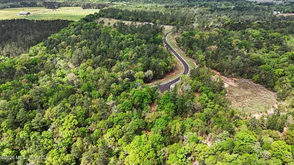 $183,000 | Lot 5 Pine Ridge Lane, Lucedale, MS 39452