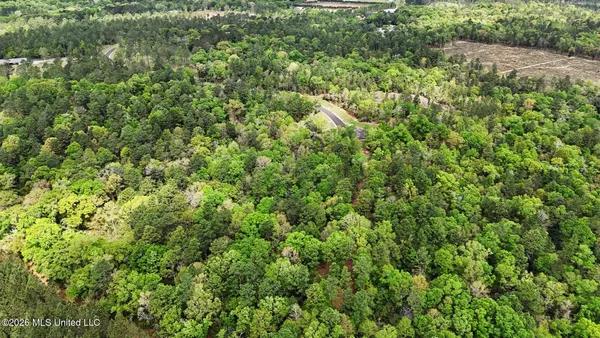 $183,000 | Lot 5 Pine Ridge Lane, Lucedale, MS 39452