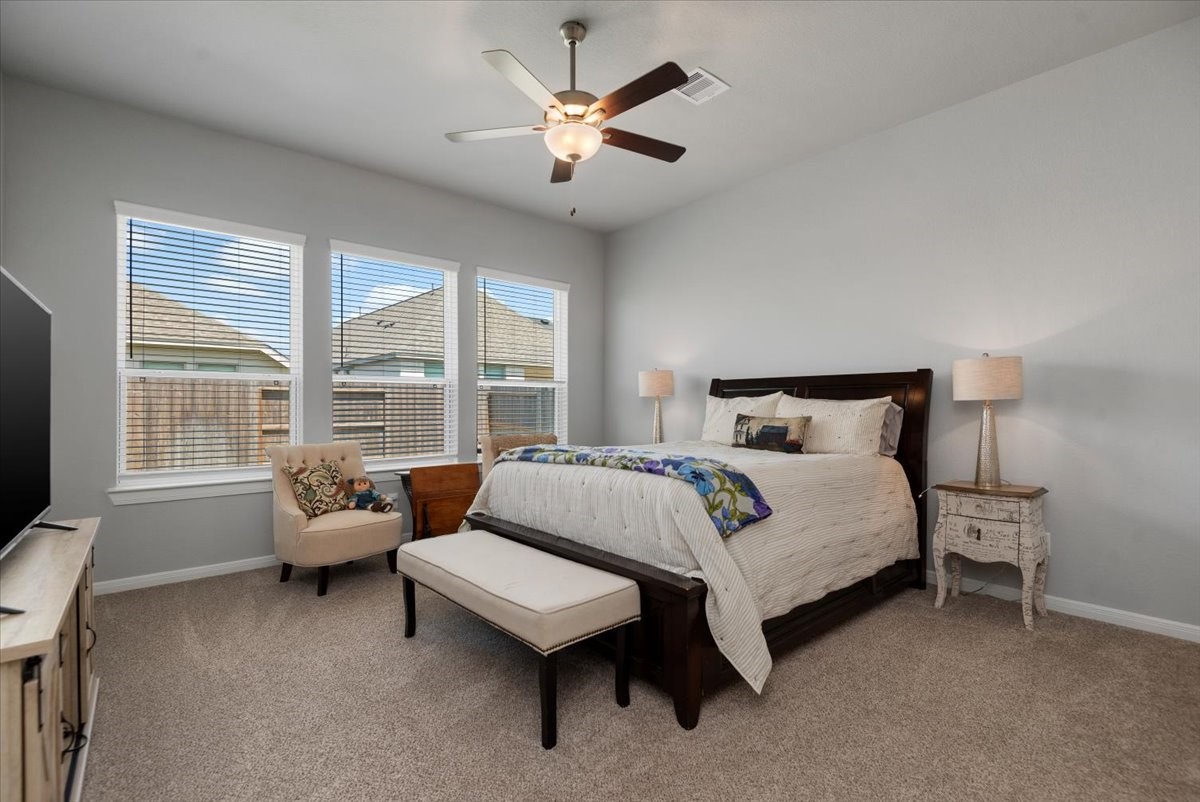 27134 Cutleaf Daisy Court Hockley, TX 77447 - Photo 19 of 46
