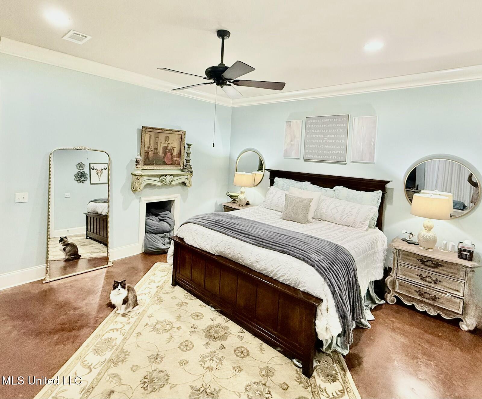 424 Stonewater Cove Madison, MS 39110 - Photo 11 of 32 MBR