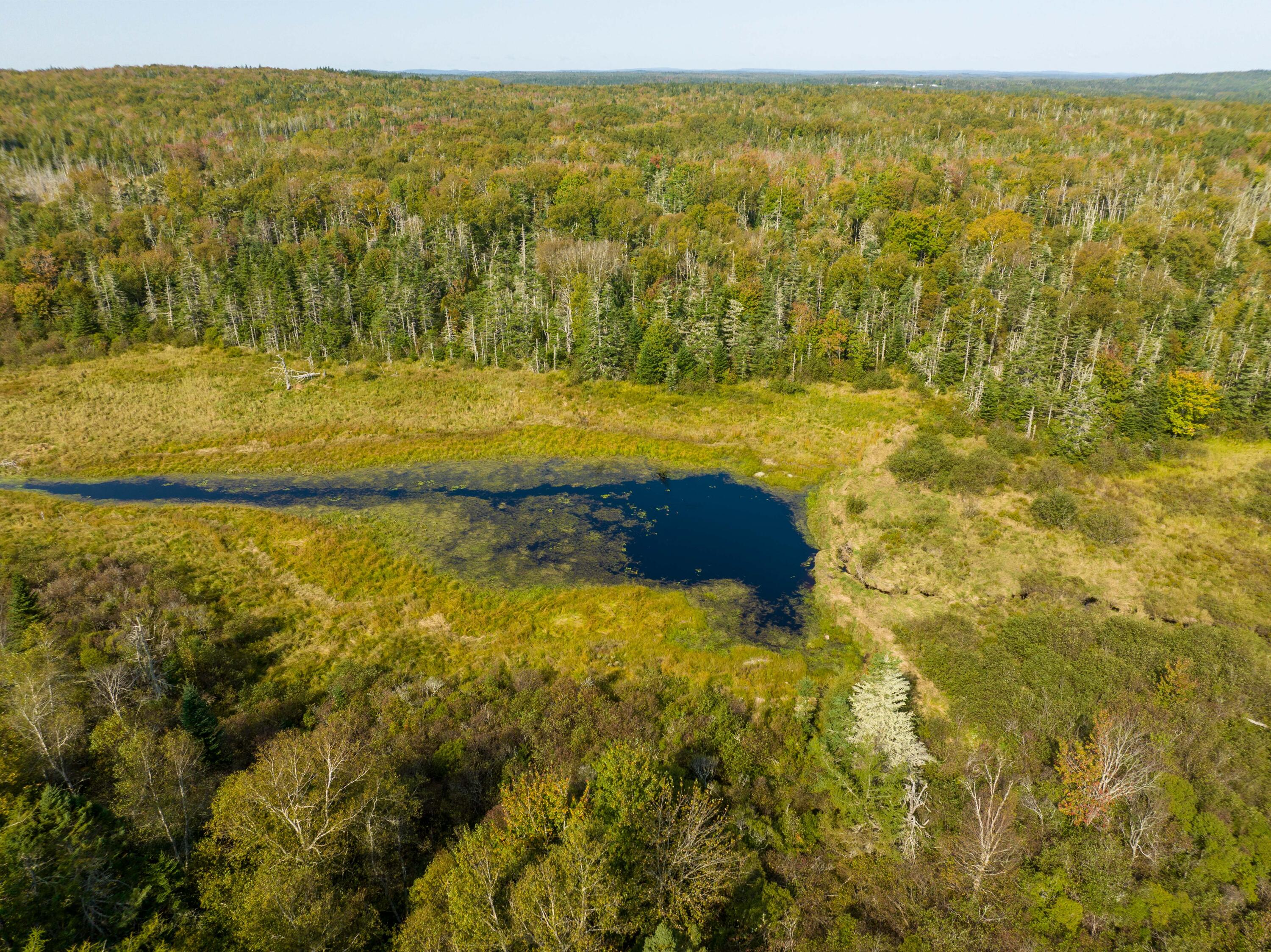117 Denbow Road Lubec, ME 04652 - Photo 26 of 49 117 Denbow Rd. Lubec (22 of 63)
