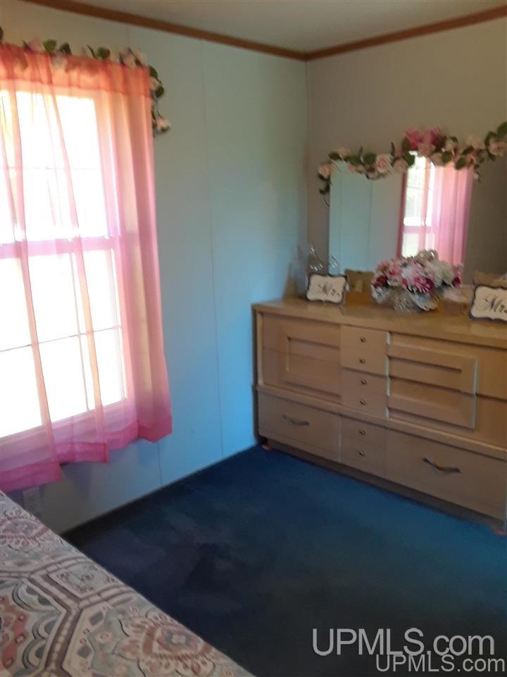 6653 West Co Road Manistique, MI 49854 - Photo 12 of 24