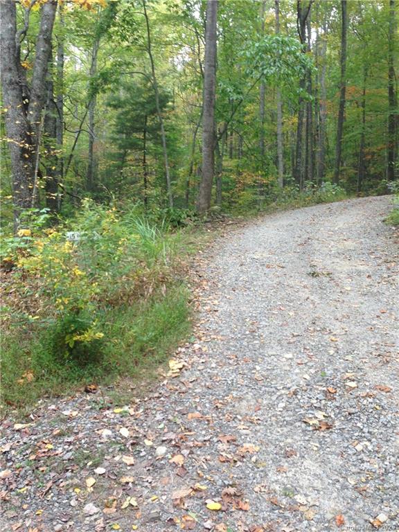 1217 Bee Tree Road Swannanoa, NC 28778 - Photo 2 of 3 Gallery Image 2