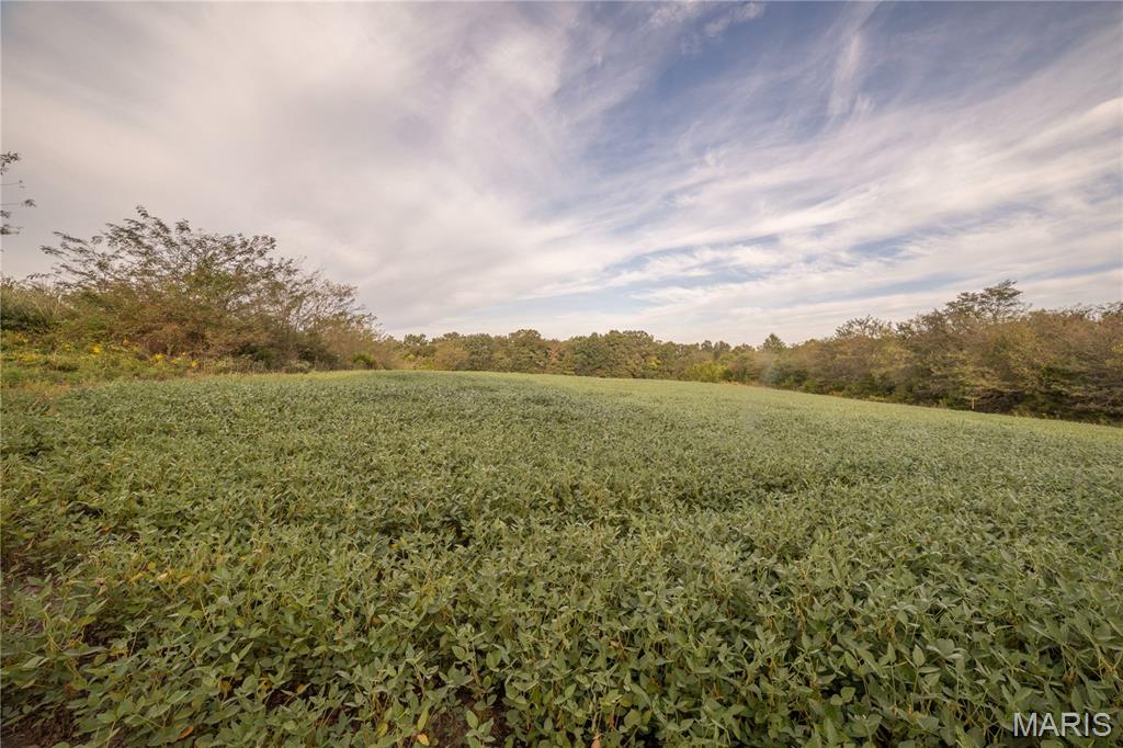 0 Abbott Road Bellflower, MO 63333 - Photo 57 of 86 Gallery Image 57