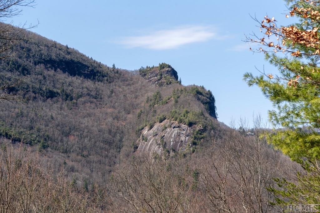 Lot 1 High Cliffs Road Cashiers, NC 28717 - Photo 12 of 13 Gallery Image 12